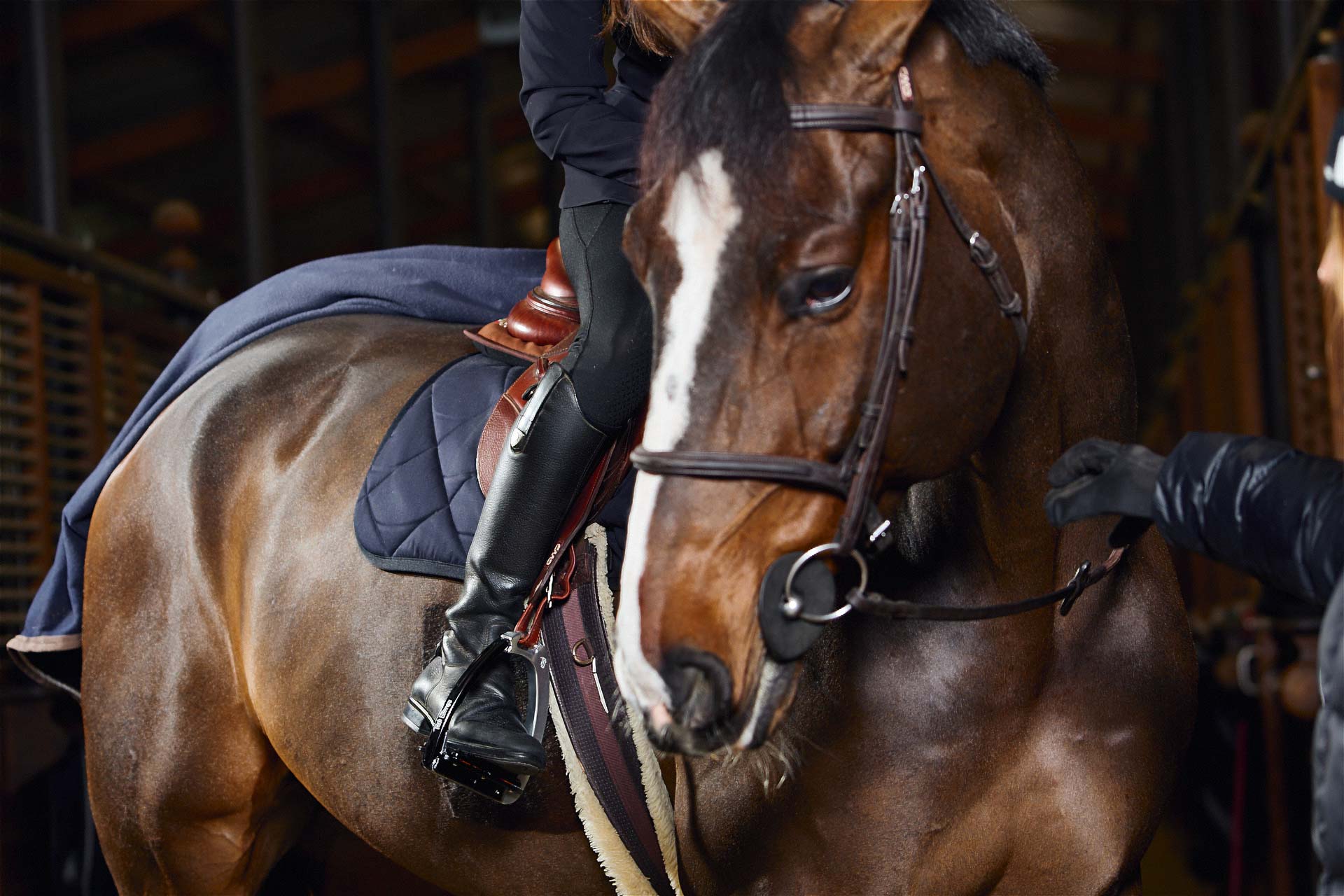 The art of perfect movement | Tech Stirrups