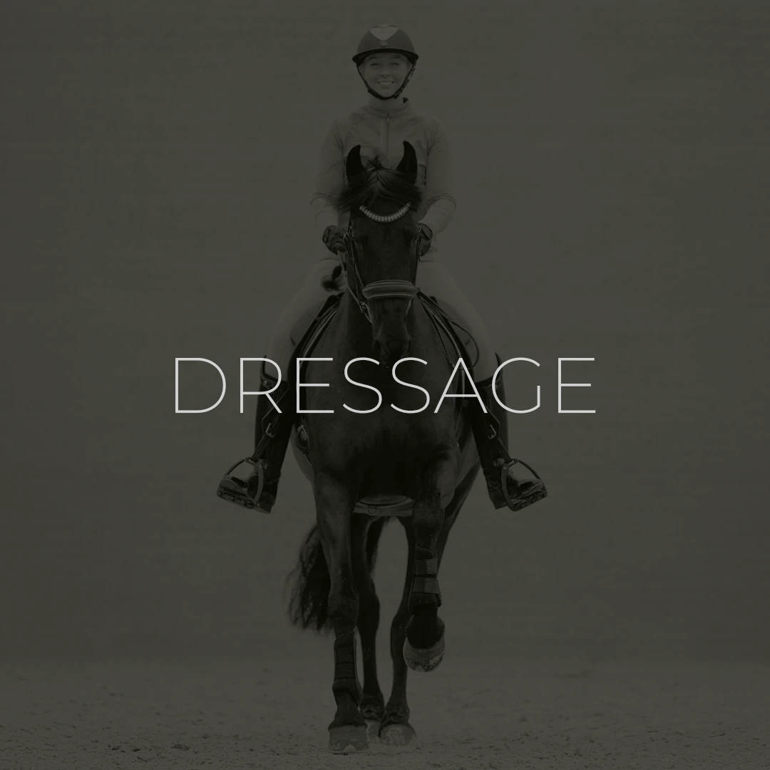Dressage