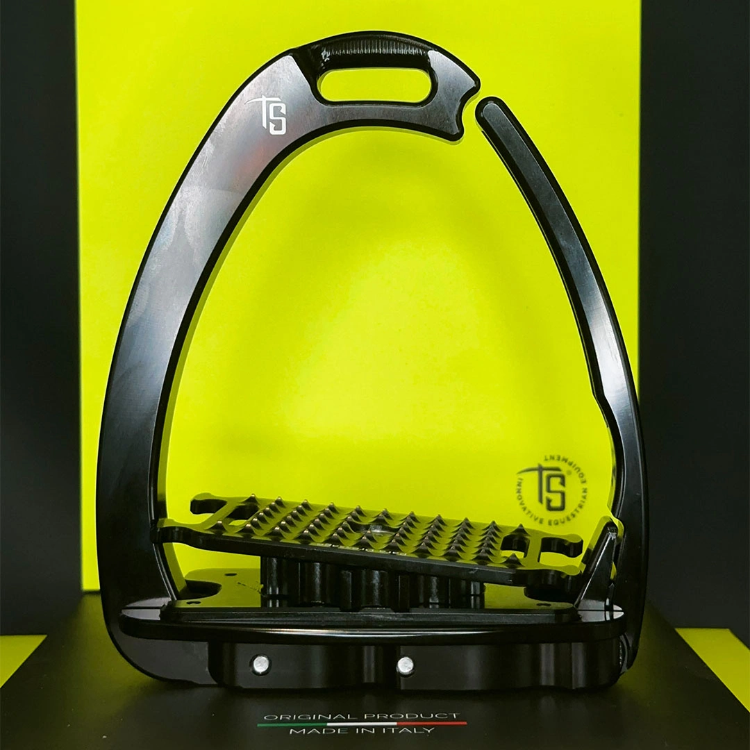 Venice Para-Dressage — view 1