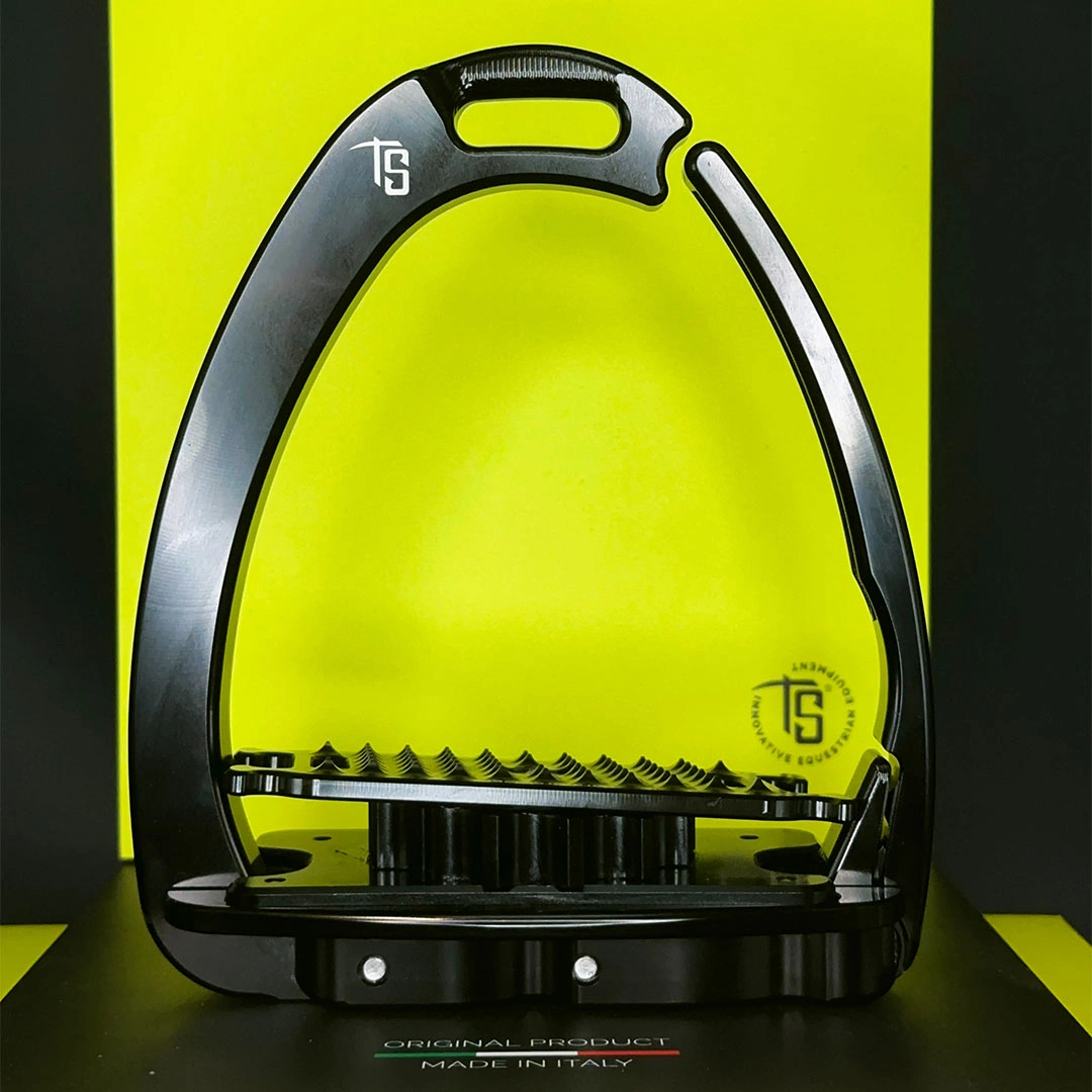 Venice Para-Dressage — view 2