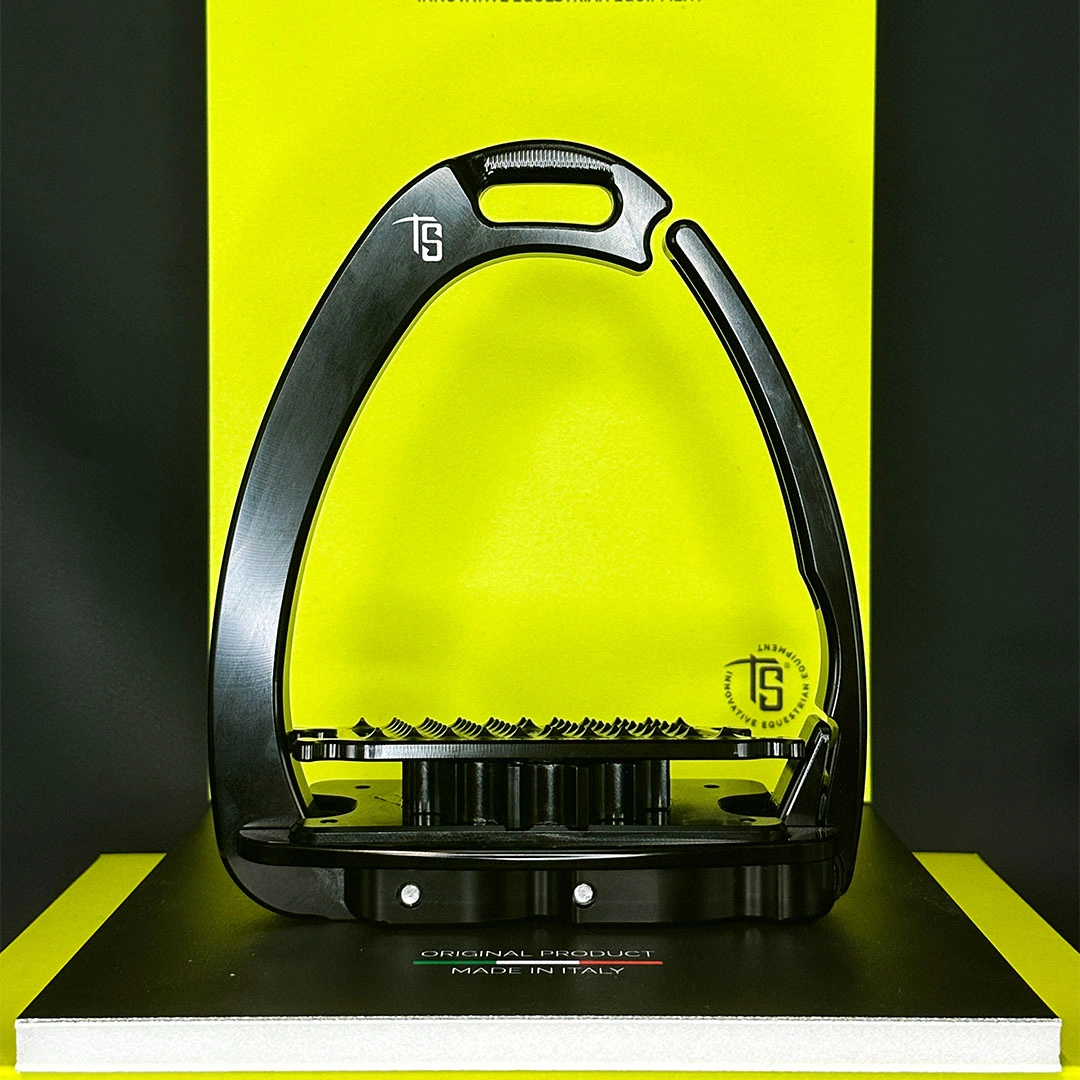 Venice Para-Dressage — view 4