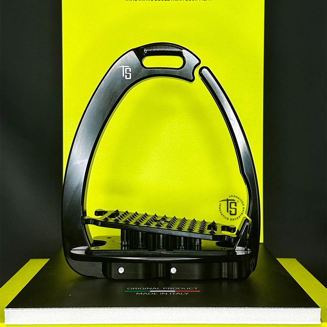 Venice Para-Dressage — view 5